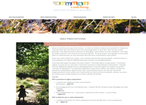 Maintenance du site My Little Coaching sous WordPress